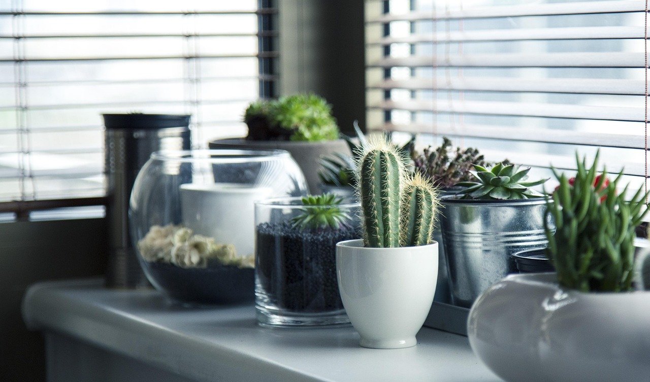 Verticaal hangende zuurstofrijke planten in woonkamer. Verticaal hangende zuurstofrijke planten in woonkamer.
